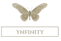 Ynfinity-1.png