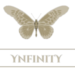 Ynfinity 1